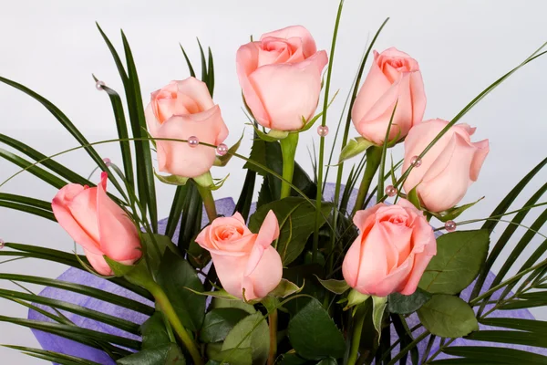 Close-up shot of roses — Stock Photo, Image