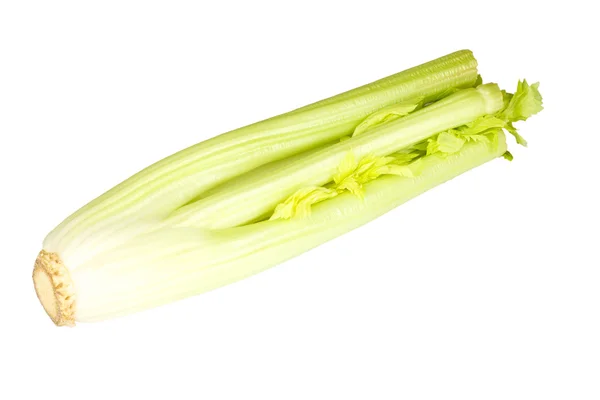 Färsk grön selleri vegetabiliska — Stockfoto