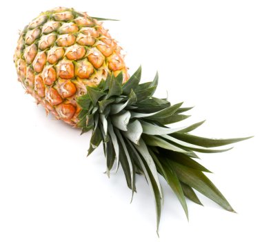 izole lezzetli taze ananas