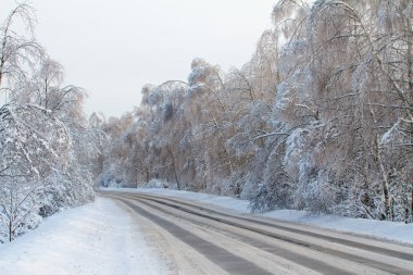 Kış road forest yakınındaki