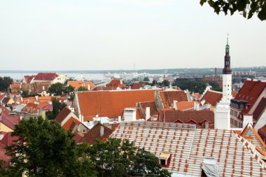 eski şehir, tallinn üzerinde Estonya göster