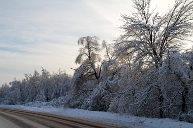 Kış road forest yakınındaki