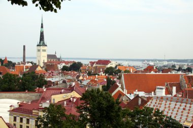 eski şehir, tallinn üzerinde Estonya göster