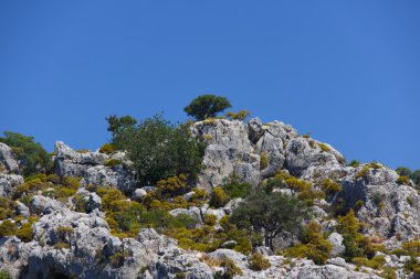 Rock ve Türkiye'deki Deniz