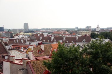 eski şehir, tallinn üzerinde Estonya göster