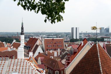 eski şehir, tallinn üzerinde Estonya göster