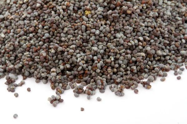Macro foto de semillas de amapola — Foto de Stock