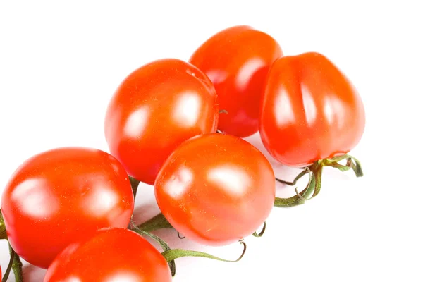 Tomates cerises isolées — Photo