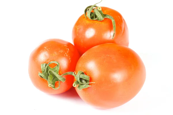 Три красивих свіжого помідора — стокове фото