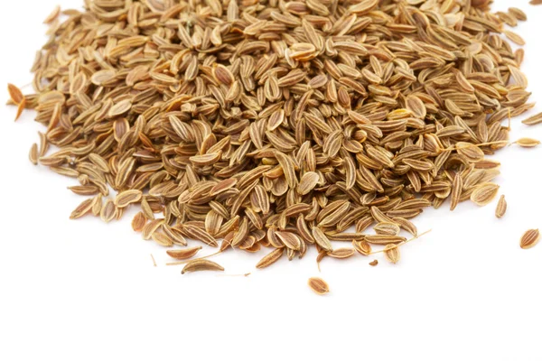 Dill seed isolated — Stock Photo, Image