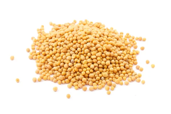 Gele mosterd zaden geïsoleerd — Stockfoto