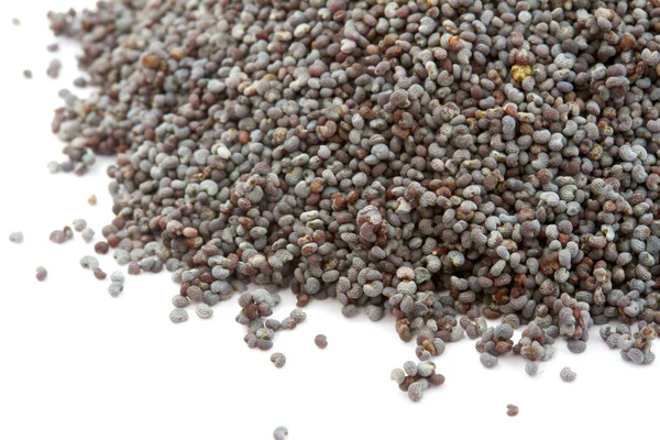 Macro foto de sementes de papoila — Fotografia de Stock