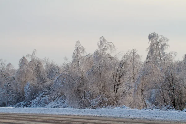 Estrada de inverno perto da floresta — Fotografia de Stock