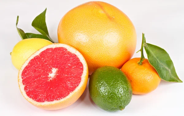 Färska saftig grapefrukt — Stockfoto