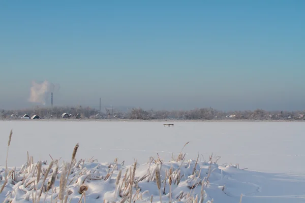 Зима на озере — стоковое фото