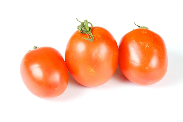 Tres hermosos tomates frescos — Foto de Stock