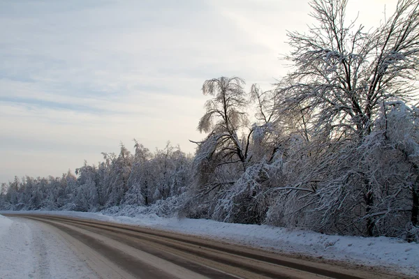 Zimą drogi w pobliżu lasu — Zdjęcie stockowe