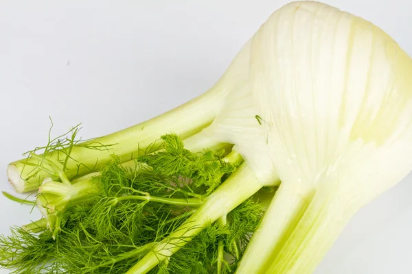 Fennel di Latar Belakang Putih — Stok Foto