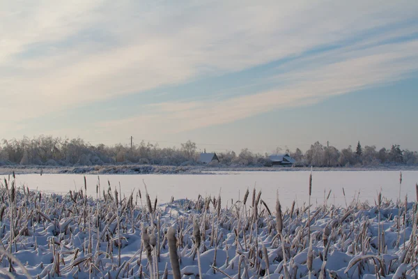 Vinter på sjön — Stockfoto