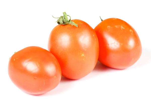 Üç güzel taze domates — Stok fotoğraf