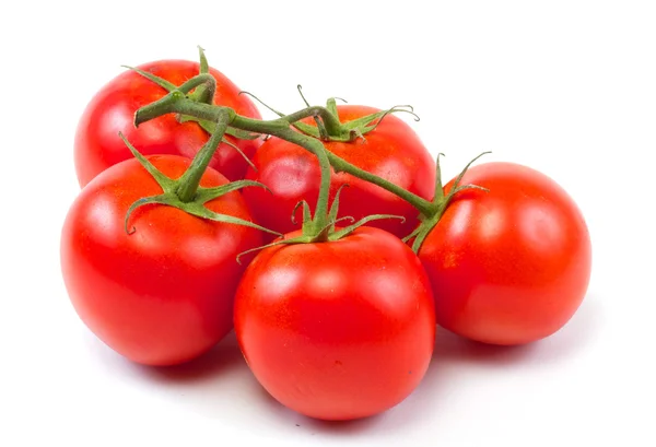 Гілка помідорів ізольована на білому тлі — стокове фото