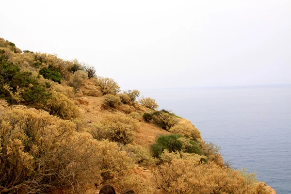 希腊风景秀丽海 — 图库照片
