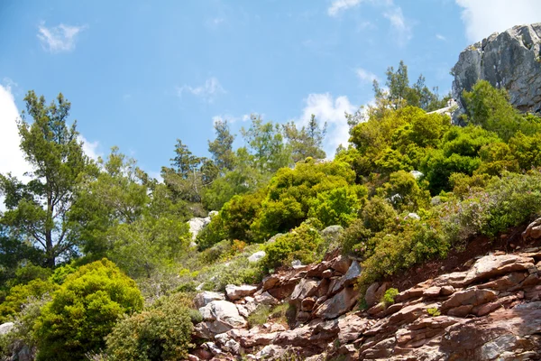 Hoher Berg und Felsen in griechischen Rhodos — Stockfoto