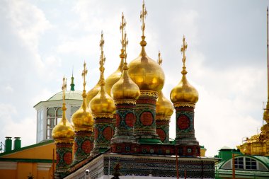 Moscow city, Rusya Federasyonu. Kremlin