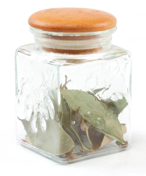 Folhas de louro no frasco isolado em branco — Fotografia de Stock