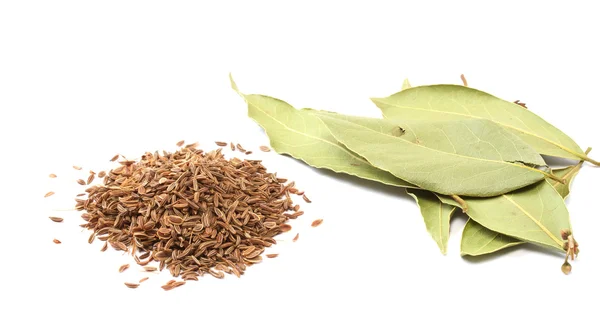 stock image Dill seeds and laurel isolated in the white