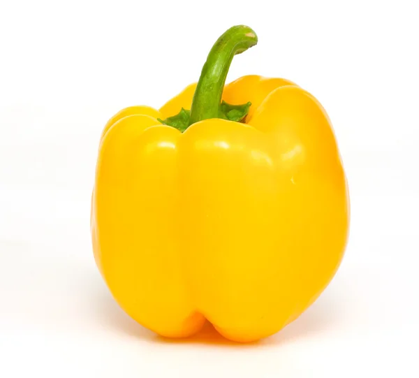 Žlutá paprika kapie na bílém pozadí, samostatný — Stock fotografie