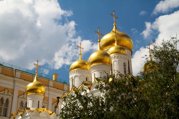 크렘린, 모스크바, 러시아에 통고의 대성당 — 스톡 사진