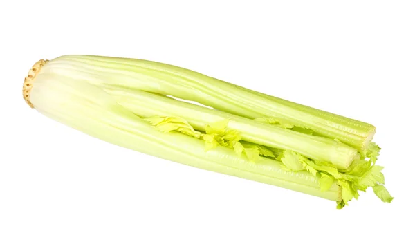 신선한 녹색 셀러리 야채 — 스톡 사진