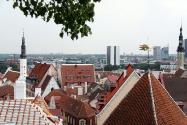 eski şehir, tallinn üzerinde Estonya göster