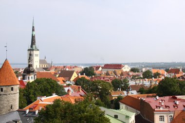 Baltık Denizi ile eski tallinn panorama