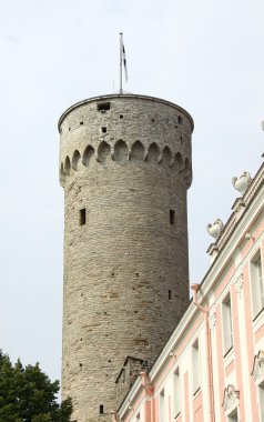 Sayın Vali, tallin bahçesinden Hermann Kalesi