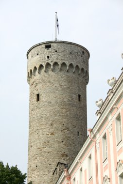 Sayın Vali, tallin bahçesinden Hermann Kalesi