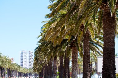 barcelona ve onun manzarası, İspanya havadan görünümü