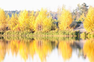 Nehir kıyısındaki renkli sonbahar ağaçları kalesi