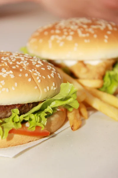 Delizioso cheeseburger con patatine fritte — Foto Stock