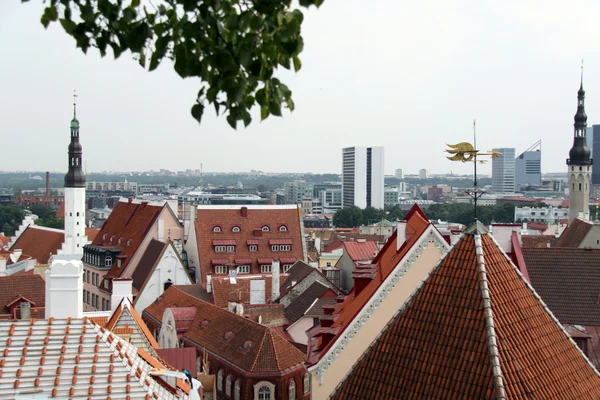 Vista del casco antiguo de Tallin, Estonia — Foto de Stock