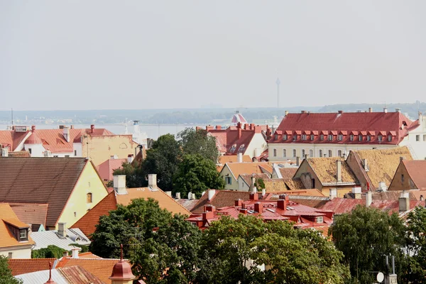 Старая Таллиннская панорама с Балтийским морем — стоковое фото