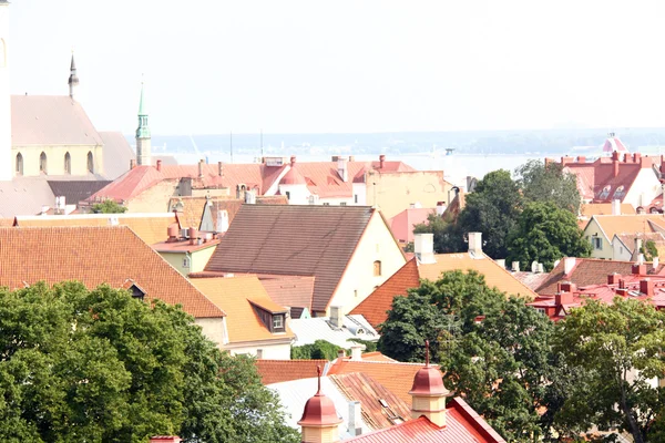 Старая Таллиннская панорама с Балтийским морем — стоковое фото
