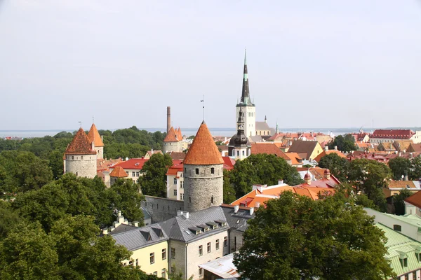 Old Tallinn panorama with Baltic sea — Stock Photo, Image