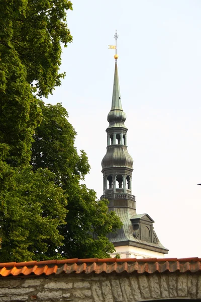 Собор Святої Марії Діви (Toomkirik) в Старому місті Таллінн — стокове фото