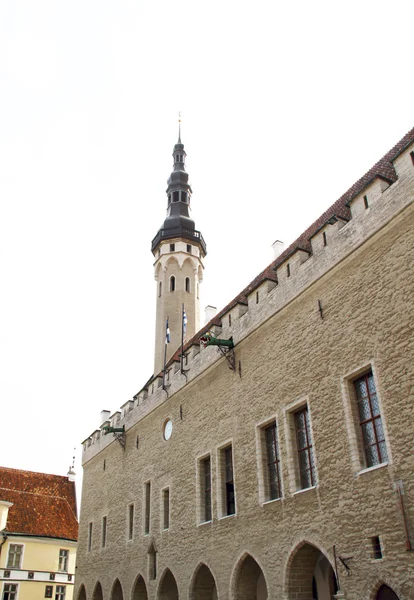 Vecchio Tommaso, guardiano della città Tallinn, la capitale di Eston — Foto Stock