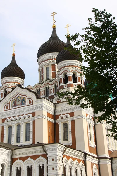 タリンのアレクサンドル ・ ネフスキー大聖堂ロシア正教 — ストック写真
