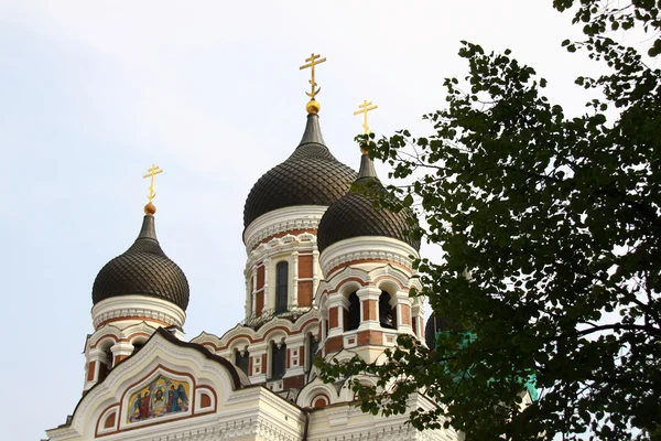 Alexandr Něvský katedrála ruské pravoslavné v Tallinu — Stock fotografie
