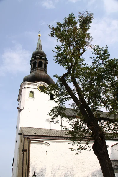 Katedra Najświętszej Marii Panny (Toomkirik) w starych Tallin — Zdjęcie stockowe