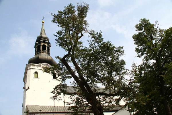 La Cattedrale di Santa Maria Vergine (Toomkirik) nell'antica Tallin — Foto Stock